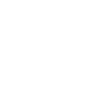 mini-logo SheCodes
